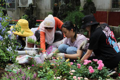 �׸�����������԰�������ӻ�����������������������