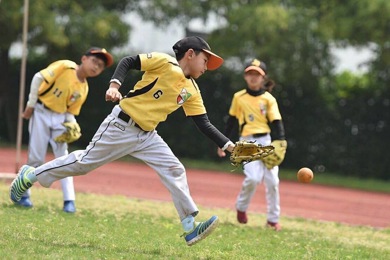 ��������ЭίԱ�ػݷң�����������ǿ��Сѧ�������������Ľ���