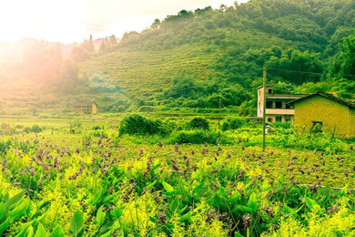 �ӻ�����Ϫ���Ҹ�������� ����+�Ļ������������