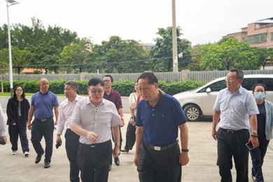 ���������Ч���������������ʳ��촺��Ĺ���