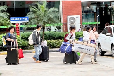 木棉正红，青春正好：华南职业教育集团两校学子共赴春日之约