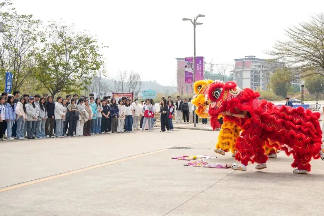 2769d9f3204844a791074261bf740214 图片